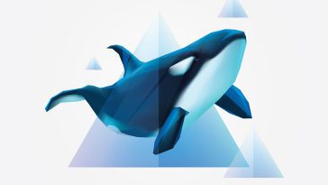 Orca Clipart Illustration