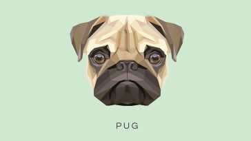 Pug Clipart Illustration