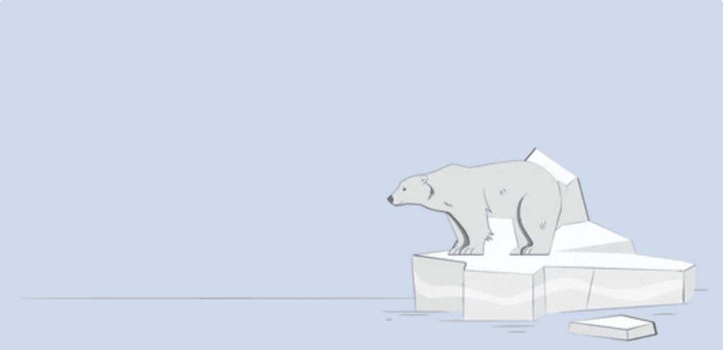 Polar Bear on the iceberg