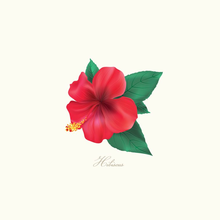 Hawaiian Flower Clipart