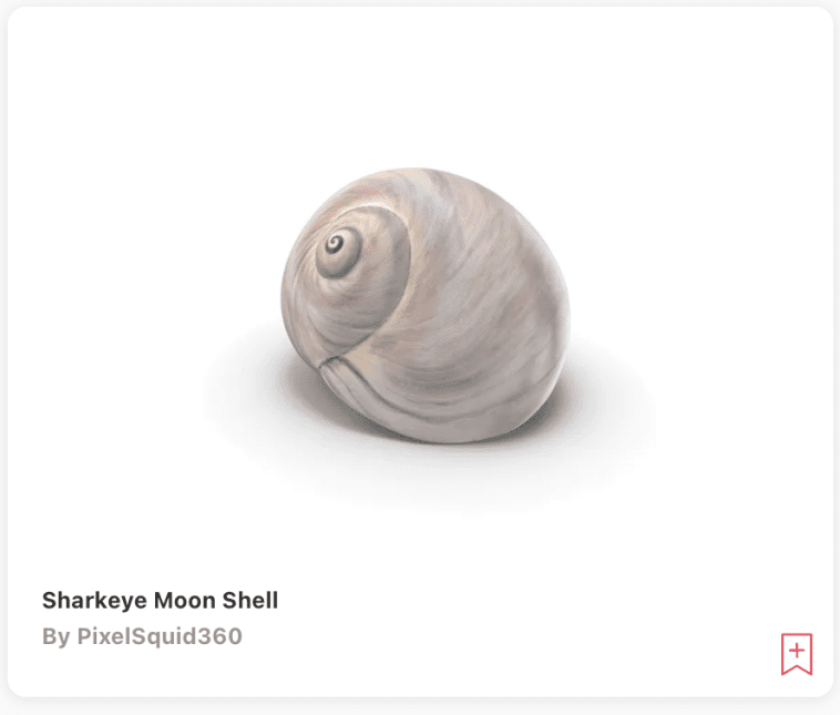 Seashell PNG Polar Vectors Seashell png polar vectors