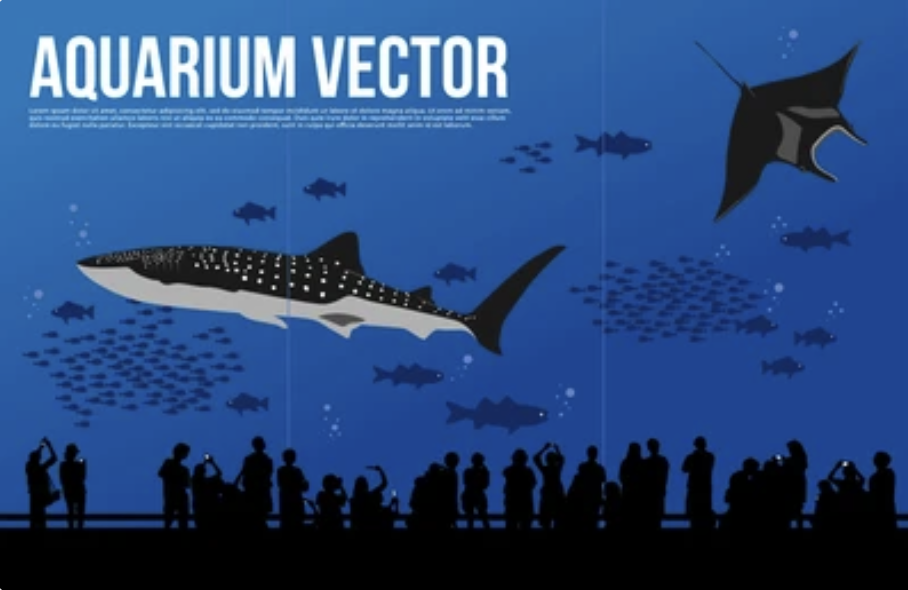 Aquarium Poster