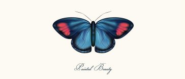 Blue Butterfly Drawing