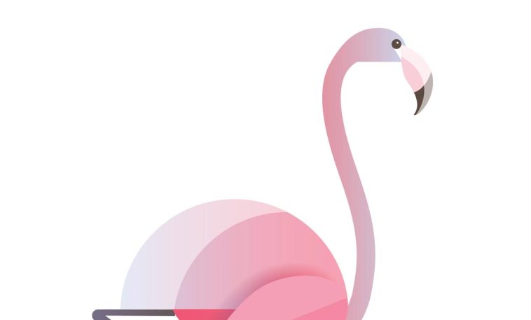 Flamingo PNG Clipart