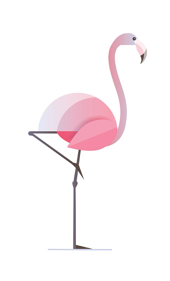 Flamingo PNG preview