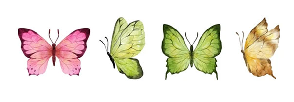 Green Butterfly PNG