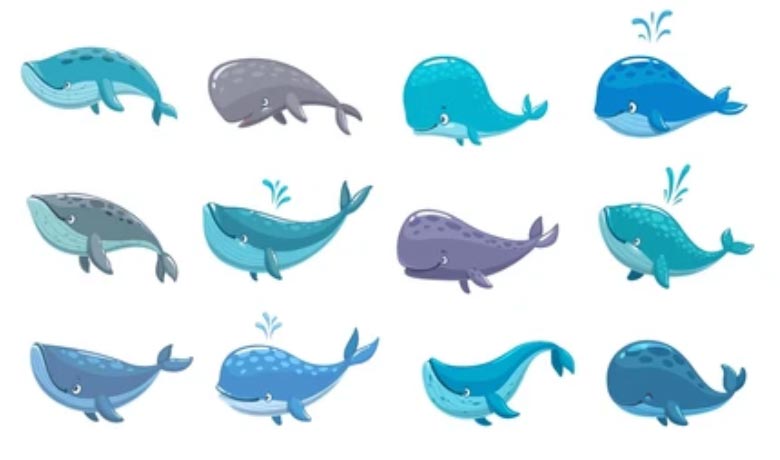 Cartoon whales characters