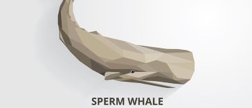 Sperm Whale Clipart