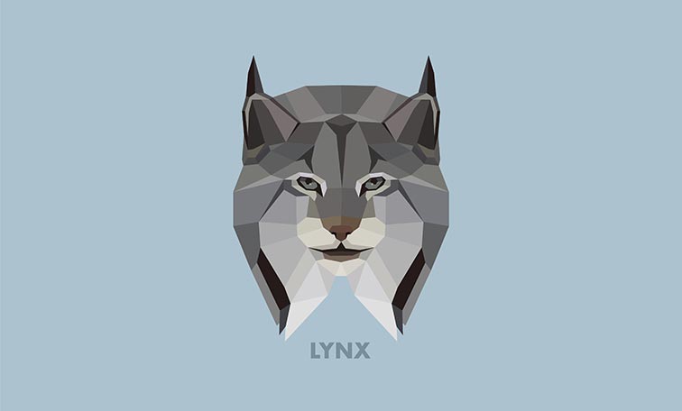 Lynx Clipart